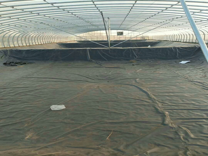 蝦溏防滲膜選擇及焊接需知