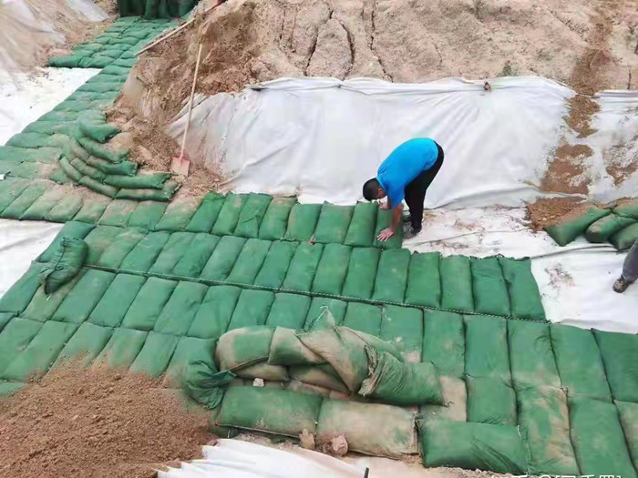 護坡選擇之生態袋